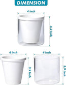D'vine Dev 4 Inch Design Self Watering Planter for Indoor Plants, White Terracotta Pots with Cylinder Glass Cup, 37-X-A-2 by GreenHaven Gardens