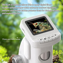 1200X Microscope for Kids with 2 inch Screen STEM Digital Science Kit Rechargeable Handheld Mini Pocket Children Students Slides Portable Gift for Kids Ages 6 to 12 (Green) by TinyTreasures Baby Boutique