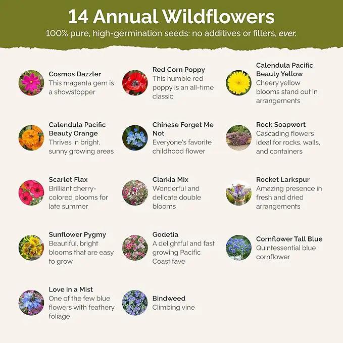 Eden Brothers Fairytale Flower Mixed Seeds for Planting, 1 lb, 480,000+ Seeds with Calendula, Cosmos Dazzler, Cornflower | Attracts Pollinators, Plant in Spring or Fall, Zones 3, 4, 5, 6, 7, 8, 9, 10, photo 3 of 6