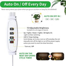 Two Strip Growing Lamp 2-Pack for Indoor Plants, 3000K Full Spectrum LED Grow Light Strips with Auto ON/Off 3/9/12H Timer & 10 Dimmable Levels for Green House Succulent (2 Head×2pcs) by GreenHaven Gardens