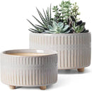 LE TAUCI Succulent Pots, 6.5+8 Inch Ceramic Indoor Plant Pot with Drainage Hole, Modern Round Decorative Flower Pot, Set of 2, Reactive Glaze Star White by GreenHaven Gardens