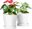 BUYMAX Plant Pots Indoor –6 inch Ceramic Flower Pot with Drainage Hole and Ceramic Tray - Gardening Home Desktop Office Windowsill Decoration Gift, Set of 2(White)