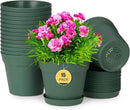 homenote Plant Pots,15 Pack 6 inch Flower Pots with Multiple Drainage Holes and Saucers,Plastic Planters for All Home Garden Flowers Succulents(Green) by CozyNest Decor