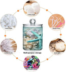 2 Pack Qtip Holder Organizer Dispenser Seashell Starfish Summer Beach Bathroom Storage Canister Cotton Ball Holder Container for Cotton Swabs/Pads/Floss by CozyNest Decor