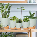 GARDIFE Plant Pots 7/6.5/6/5.5/5 Inch Self Watering Planters with Drainage Hole, Plastic Flower Pots, Nursery Planting Pot for All House Plants, African Violet, Flowers, and Cactus,Green by GreenHaven Gardens