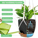 Hanging Planters for Indoor Outdoor Plants, 2 Pack Self Watering Hanging Pot with Drainage Holes, Removable Tray & 2 Kinds of Plant Hangers, 8'' Hanging Flower Pots for Home Garden Decor, Black by GreenHaven Gardens