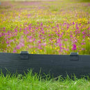 60Pcs Metal Garden Landscape Edging Stakes,Black, 10inch anchoring Stakes Landscape Anchoring Spikes for Terrace Board, Grass Barrier, Landscape Edging Coil, Garden Liner, Bender Board by CozyNest Decor