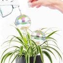 ZephyrBloom 13 oz Up 2 Weeks Large Plant Watering Globes & Bulbs, Self Watering Glass Globes to Water Plants While Away, Indoor Outdoor Automatic Slow-Release Watering Bulbs for Houseplants 2 Pack by GreenHaven Gardens