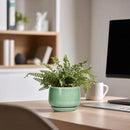 G EPGardening Ceramic Plant Pot - 4 inch Plant Pots with Drainage Hole & Saucer, Small Pots for Plant Indoor Outdoor, Modern Round Planter, Decorative Flower Pot, Room Decor, House Warming Gift, Green by GreenHaven Gardens