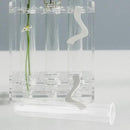 Alipis 4pcs Glass Propagation Stations Accessories Glass Test Tubes Tiered Planters Wall Terrarium for Home Office Plant Hanger Flower Vases Wall Decor Hydroponic Cuttings by GreenHaven Gardens