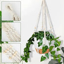 GARDIFE 10 Inch Hanging Planters with Macrame Plant Hanger for Indoor and Outdoor Plants, 2 Pack Large Self Watering Hanging Plant Pot with Basket Flower Pot with Drainage Hole, White by GreenHaven Gardens