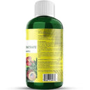 Organic Premium Seaweed Anthurium Fertilizer - Liquid Kelp Plant Food - Nutrient-Rich Soil Enhancer (16 OZ) by GreenHaven Gardens