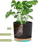 QCQHDU 5 inch Plant Pot, 2 Pack Planters for Indoor Plants with Drainage Holes & Saucer, Outdoor Flower Pots Home Garden Modern Decor by GreenHaven Gardens
