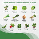 Organo Republic 25 Winter Vegetable Garden Seeds Variety Pack for Outdoors & Indoor Home Gardening 6500+ Non-GMO Heirloom Seeds: Broccoli Beet Carrot Collard Lettuce Radish Spinach Pea Kohlrabi by GreenHaven Gardens