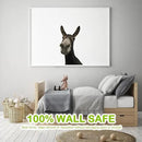 Funny Donkey Wall Decals - Peel and Stick Cute Window Stickers, Removable Vinyl Farmhouse Decor, Weird Gifts for Friends by CozyNest Decor