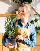 Plant Pots, Flower Pots, Planters for Indoor Plants(6.5+5.5inch), Flower Pots for Indoor Plants with Drainage Hole and Saucer, Ceramic Pots for Plants with Hole Mesh Pad,Reactive Glaze Blue by GreenHaven Gardens
