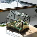 Black 1 Large Glass Plant Terrarium Kit with Lip Greenhouse for Succulents by CozyNest Decor