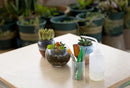 Ginsco 7pcs Succulent Transplanting Miniature Fairy Garden Planting Gardening Hand Tools Set by GreenHaven Gardens