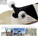 WhiteFang Skateboards for Beginners, Complete Skateboard 31 x 7.88, 7 Layer Canadian Maple Double Kick Concave Standard and Tricks Skateboards for Kids and Beginners by TinyTreasures Baby Boutique