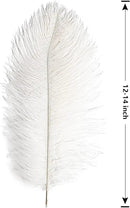 THARAHT 12pcs White Ostrich Feathers Natural Bulk 12-14Inch 30cm-35cm for Wedding Party Centerpieces Easter Gatsby and Home Decorate Ostrich Feathers by CozyNest Decor