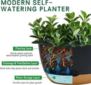 8/10/12 Inch Pots for Indoor Plants, Large Self Watering Planters with Drainage and Saucers, Plastic Outdoor Flower Pot, Set of 3, Grey by GreenHaven Gardens