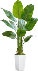Lifelike Bird of Paradise Silk Artificial Plant Faux Banana Leaf Tree for Home Decor - Perfect Indoor Floor Plant with 9 Trunks (1, White Tall Planter, 5 FT) by CozyNest Decor