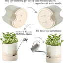 Nihow Self Watering Plant Pot: 8 Inch Ceramic Planter with Drainage Hole & Water Storage Plus for Indoor & Outdoor Plants - Cylinder Round Flower Pot for Succulent/Herbs/Violets - White & Wave Nature by GreenHaven Gardens