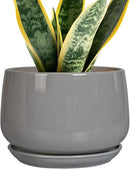 G EPGardening Modern Ceramic Planter - 7 Inch Round Modern Plant Pot Indoor with Drainage and Ceramic Tray Indoor Outdoor for Flower, Vanity Decor, Birthday Gifts, Grey by GreenHaven Gardens
