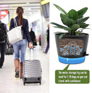 Self Watering Pots for Indoor Plants,12 inch Planters with Drainage Holes Plastic Flower Pots with Deep Reservoir, Black by CozyNest Decor