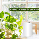 Watering Can Indoor Plants, 35oz Small Watering Can Indoor Stainless Steel Metal Watering Can Modern Decorative Watering Pot with Long Spout for Indoor House Plant Bonsai Outdoor Garden Flowers -White by GreenHaven Gardens