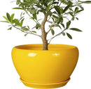 Ceramic Planter for Indoor Plants - 13 Inch Mid-Century Decorative Modern Large Plant Pot with Drainage Hole and Saucer, Home Balcony House Garden Patio Room Office Decor, Yellow by GreenHaven Gardens