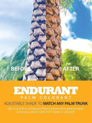 Endurant Palm Colorant – Non-Toxic Palm Tree Protector - Enhances Natural Beauty - Prevents Sunscald & Bark Damage -Easy Annual Application - Vibrant Long-Lasting Trunk Care - 32 oz by GreenHaven Gardens