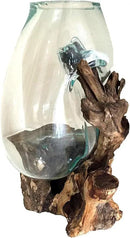 Hand Blown Molten Glass & Teak Wood Terrarium/Vase/Fish Bowl - Premium Quality (12" - 14" High) by CozyNest Decor