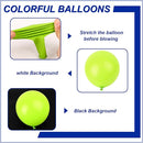 140pcs Light Green Round Balloons Different Sizes 18 12 10 5 Inch Latex Balloons for Arch Decoration Party Balloon Kit for Graduation Birthday Party Wedding Balloon Baby Shower Decoration by TinyTreasures Baby Boutique