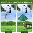 Gtongoko 19 Inch Squirrel Baffle for Bird Feeder Pole Squirrel Guards for Shepherds Hook Stopper for Bird Feeders Green 1 Pack by GreenHaven Gardens