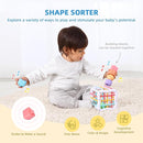 OOOK Montessori Toys for 1 Year Old, 7 in 1 Learning Educational Kit with Sensory Bin,Nesting Box, 3 in 1 Educational Box,Pounding Bench and Baby Stacking Cups by TinyTreasures Baby Boutique