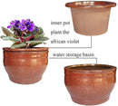 African Violet Pots Self Watering Round Ceramic Violet Pot (Copper, 6 inch) by GreenHaven Gardens