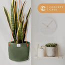 Waxed Canvas Handmade Hanging Planter for Indoor/Outdoor Plants, Hanging Basket Plant Holder Forest Green by GreenHaven Gardens