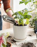 LE TAUCI Ceramic Plant Pots, 5.4 Inch Pots for Indoor Plants, Planters with Drainage Hole and Saucer, Flower Pots for Succulent, Snake Plants and Cactus, Set of 2, Reactive Glaze White by GreenHaven Gardens