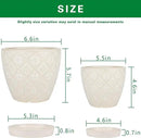 Docrin Ceramic Plant Pots Indoor: 6.6 + 5.5 Inch Planters with Drainage Holes and Saucer for Home/Office - Set of 2 /White by GreenHaven Gardens