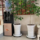 2 Pack of 11 Inch Heavy Duty Plant Caddy with Wheels,Rolling Plant Stand Pot Trolley,Wheeled Planter Saucer Tray,Potted Flower Mover Dolly with Casters Round Coaster for Indoor Outdoor by GreenHaven Gardens