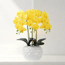Orchid Artificial Flowers with White Vase Large Silk Faux Phalaenopsis Flowers for Dining Room Table Floral Centerpieces Indoor Decoration,Yellow by CozyNest Decor