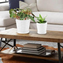 EFISPSS Ceramic Plant Pots, 5+6 Inch Pots for Indoor Plants, Planters with Drainage Holes and Tray, Modern Flower Pots Gardening Home Desktop Office Windowsill Decoration Gift Set of 2 - White by GreenHaven Gardens
