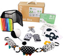 vocheer High Contrast Baby Toys for Newborn, 6 in 1 Black and White Sensory Baby Gift Set for 0-3 Months, 21pcs Montessori Early Educational Learning Kit by TinyTreasures Baby Boutique