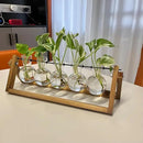 Kingbuy Plant Propagation Station with 5 Bulb Vases Retro Wooden Stand Desktop Glass Planter Terrarium for Hydroponics Plants Home Office Décor by GreenHaven Gardens