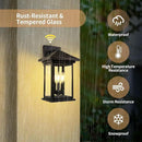 Extra-Large Outdoor Wall Sconce, Wall Lantern, Wall Light with Tempered Clear Seeded Glass, Matte Black Finish for Outdoor by GreenHaven Gardens