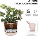 Elly Décor 14 inch Plastic Cylinder Planter Pot with Self-Watering Saucer and Drainage Hole,Lightweight & Extremely Durable, 14"x 14", Ivory by CozyNest Decor