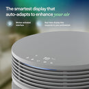 BLUEAIR Air Purifier for Large Rooms & Home - Odor Eliminating Cleans up to 3385 ft², HEPASilent, Smart WiFi, Auto Mode, Doubles as Table, Removes Dust, Smoke, Pet Hair, AHAM Verified, Blue Signature by TinyTreasures Baby Boutique