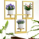 Picture Frame Wall Plant Holder, Metal Window Plant Shelves Plant Holder for Indoor Plants, Hanging Wall Planters Wall-Mounted Plant for Home, Office, and Garden (Gold, 3PCS) by GreenHaven Gardens