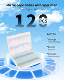120-Pcs Microscope Slides with Specimens,Pre-Made Glass Slides with Specimens,Educational Microscope Slides and Covers for Young Scientists,Perfect for Biology Class and Experiments by TinyTreasures Baby Boutique